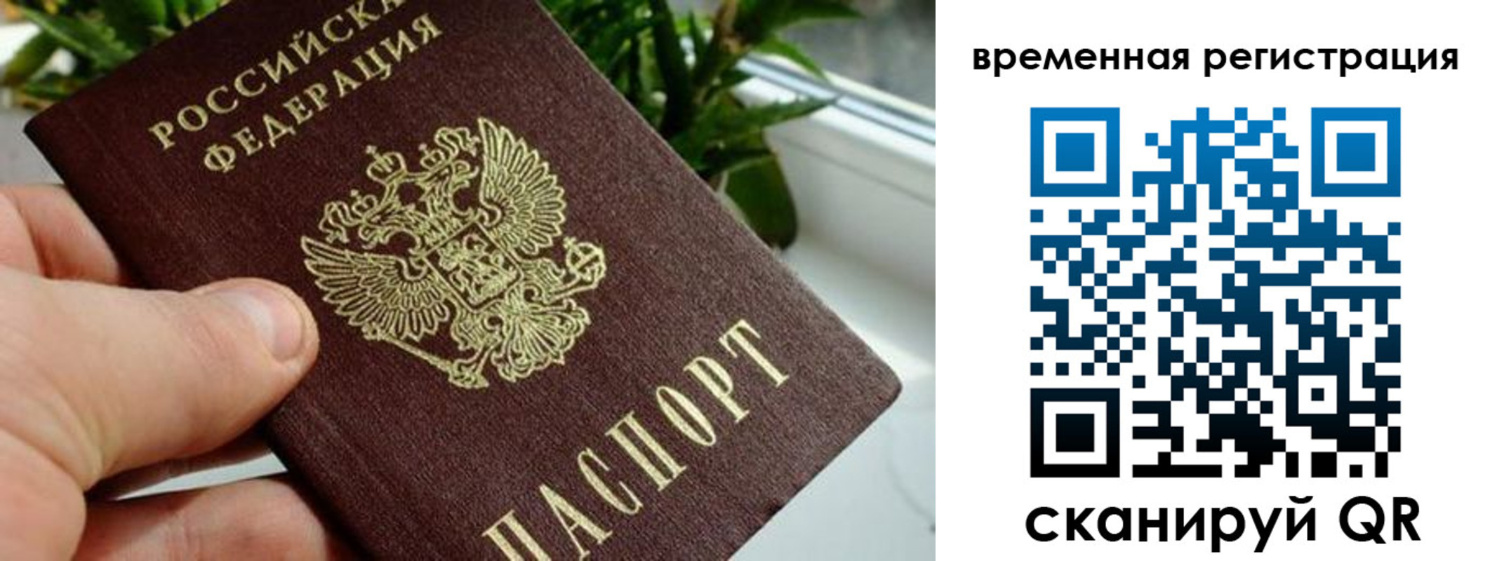 прописка поиск в Усть-Катаве